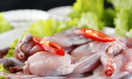 Thịt cóc nhiều chất dinh dưỡng nhưng rất dễ gây ngộ độc chết người. Ảnh minh hoạ: Internet