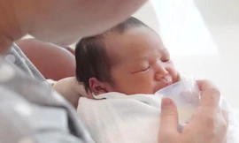 Ảnh minh hoạ: Internet