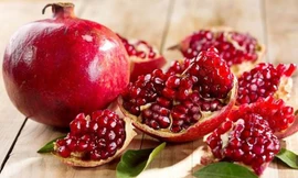 Ảnh minh hoạ: Internet