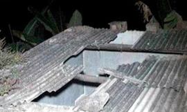 Bò rơi từ mái nhà đè chết người