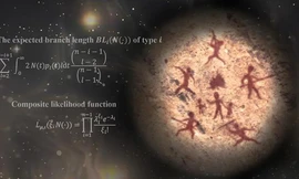 Sốc: Loài người từng suýt tuyệt chủng như khủng long