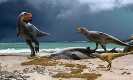 Phát hiện hai loài khủng long bạo chúa hoàn toàn mới