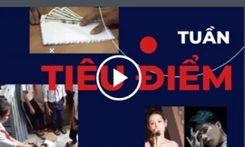 TIÊU ĐIỂM: 16 người Việt rời khỏi Sudan giữa binh biến | Số 50.000 nói lên điều gì trong tuần?