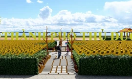 Ngắm cánh đồng hoa hướng dương 6.000m2 ở ven sông Sài Gòn qua phối cảnh