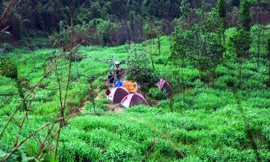 Ngọn núi nào của Đồng Nai cao thứ 2 ở Đông Nam bộ, ví như 'tiên cảnh trong lòng núi'?