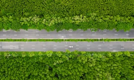 Giao thông xanh hiện đại ở huyện đảo Cần Giờ, TP.HCM