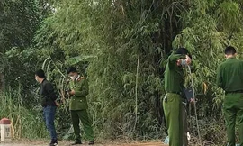 Phát hiện cô gái chết bất thường bên bụi tre ở Hải Dương