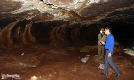 Hang động núi lửa này ở Đồng Nai đang có nhiều người tò mò bấm đèn pin để xem