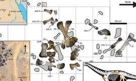 Quái vật chưa từng thấy 'trỗi dậy' giữa sa mạc Ai Cập, dài 15 m