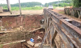 Bình Phước: Sạt lở mố cầu Suối Nhung, hàng trăm hộ dân trước nguy cơ bị cô lập