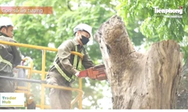 TIÊU ĐIỂM: 389 người Việt trong vụ giải cứu nạn nhân ở Philippines; Con số 348.000 nói lên gì?