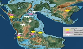 Xuất hiện siêu quái thú ở Ấn Độ, hài cốt ngoại cỡ