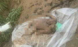 Phát hiện thi thể phụ nữ dưới con rạch, trên đầu còn đội mũ bảo hiểm