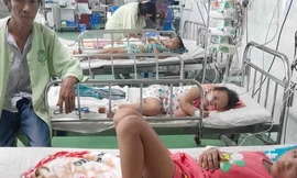 Bị ong vò vẽ đốt khi đi trên đường, mẹ hôn mê và 3 con nhỏ bị thương tích nặng