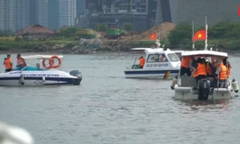 VIDEO: 44.000 con cá lăng được thả xuống sông Sài Gòn