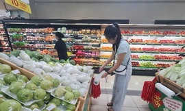 TP.HCM sẽ không phát túi nylon khó phân hủy cho người đi siêu thị