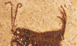 Phát hiện loài côn trùng cổ đại kỳ lạ