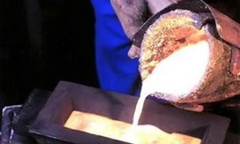 Tăng cường các giải pháp phòng chống vàng giả