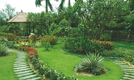 Cho quê hương thêm xanh