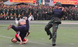Xem lính đặc nhiệm biểu diễn võ thuật trong ngày hội ra quân huấn luyện