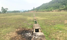Hơn 100 hộ dân vùng ngập lụt từ chối di dời, khu tái định cư bỏ hoang