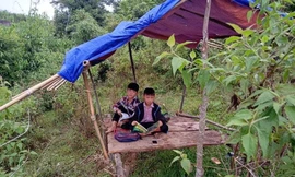 Học sinh lớp 6 lên núi dựng lán 'dò sóng' học online