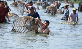 Cả trăm người 'đội nắng', lặn ngụp nơm cá dưới hồ