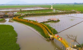 Chiêm ngưỡng con đường hoa, khu trải nghiệm nông nghiệp sinh thái giữa lòng thành phố Hà Tĩnh