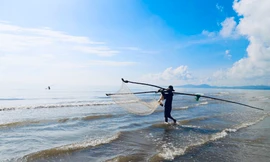 Ngư dân xứ Nghệ rộn ràng mùa thu hoạch ruốc biển