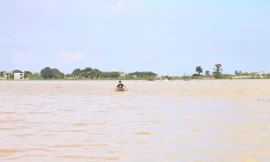 Hình ảnh chưa từng có trong tâm lụt tại Nghệ An