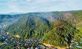 Cận cảnh hàng ngàn lượt người vật lộn với đám cháy rừng thông suốt 16 giờ