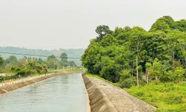 Hành lang bảo vệ kênh thủy lợi bị xâm hại 