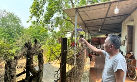 Dân khốn khổ trong căn nhà cũ nát vì dự án đường 15 năm vẫn nằm trên giấy