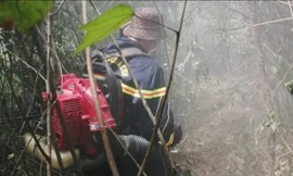 Lửa nghi ngút thiêu rụi gần 2 ha rừng