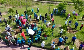 Hưởng ứng Tiền Phong Marathon 2024: Trồng cây cho cuộc sống xanh