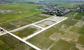 Phó Chủ tịch huyện nói gì về việc em ruột trúng đấu giá 23 lô đất?