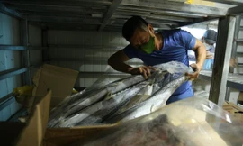 Hàng ngàn tấn hải sản nằm kho lạnh vì dịch, chủ hàng lo phá sản vì phải bù lỗ tiền điện