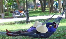Nghệ An: Người dân 'rang mình' dưới nắng nóng gần 42 độ C