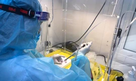 Những hy sinh thầm lặng ở cơ quan đầu não xét nghiệm COVID-19 Nghệ An