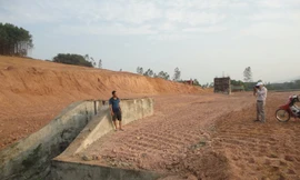 Phê bình giám đốc một ban quản lý dự án 