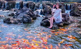 Bạn trẻ thích thú check in tại suối cá vàng lớn nhất xứ Nghệ