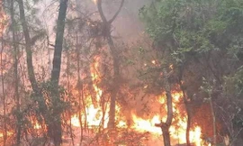 Cháy hơn 100 hecta rừng thông, hàng trăm người tham gia dập lửa