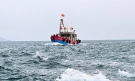Nghệ An xử phạt 8 tàu đánh cá vì lỗi mất kết nối hành trình