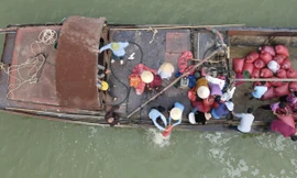 Phóng sinh 12 tấn cá xuống sông Lam