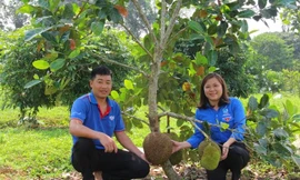 Chàng trai 9X biến mảnh đất hoang thành trang trại trăm triệu