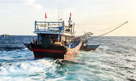 Tìm kiếm hai anh em ngư dân mất liên lạc trên biển