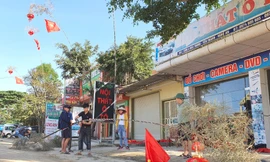 Tre xanh ồ ạt về phố, phục vụ nhu cầu dựng cây nêu đón Tết