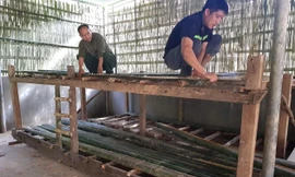 Giáo viên, phụ huynh làm giường tre cho học sinh ở ‘bán trú’ trong nhà kho của dân