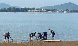 Người phụ nữ để xe trên cầu rồi nhảy xuống sông Lam tự tử