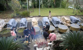 Kỳ bí ngôi đền có 9 con trâu quỳ gối ở miền Tây xứ Nghệ